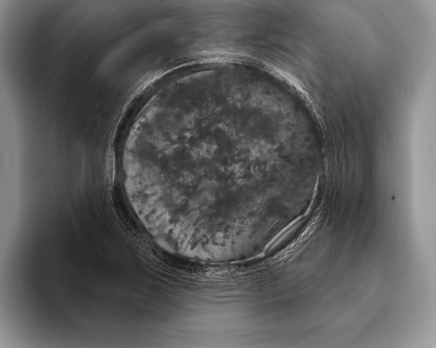 X0000093401267200711091334