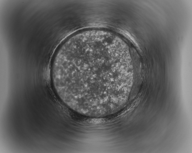 X0000093401268200711091334