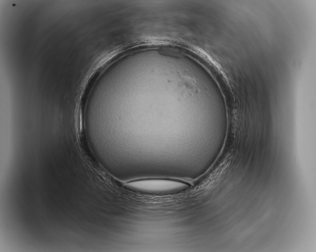 X0000093401269200711091334