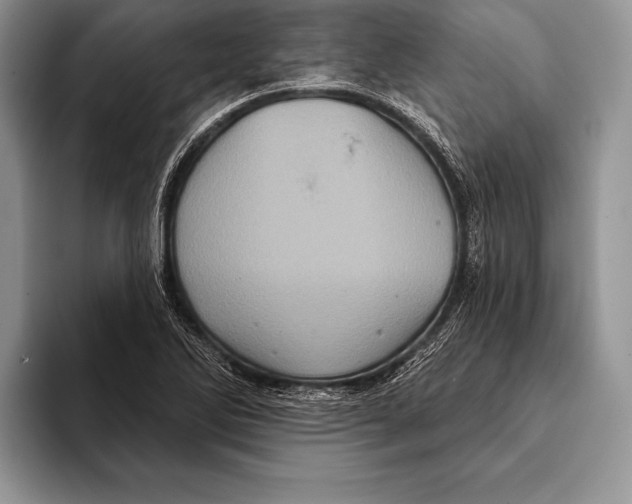 X0000093401270200711091334