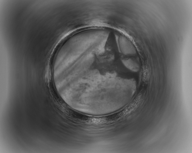 X0000093401271200711091334