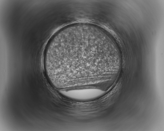 X0000093401272200711091334