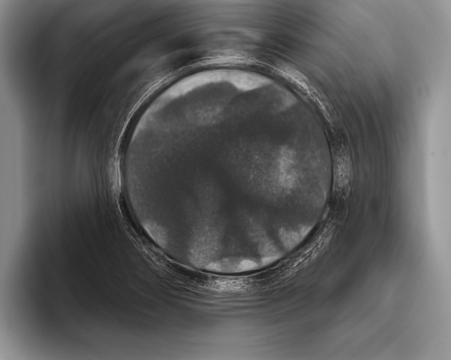 X0000093401274200711091334