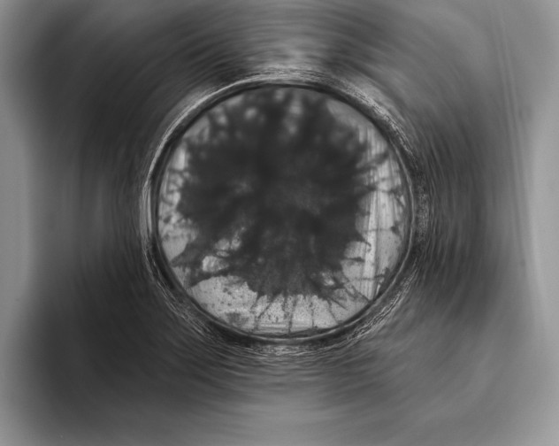 X0000093401275200711091334