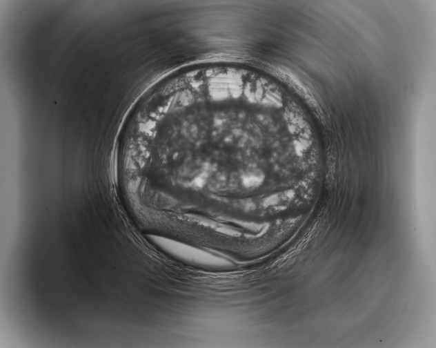 X0000093401276200711091334