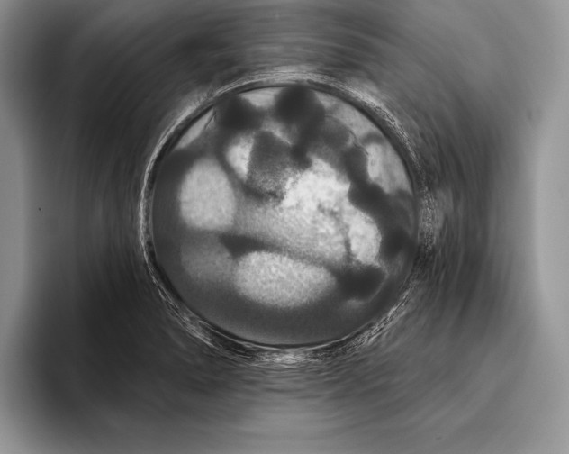 X0000093401278200711091334