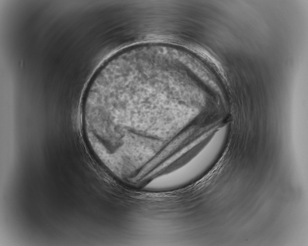 X0000093401280200711091334