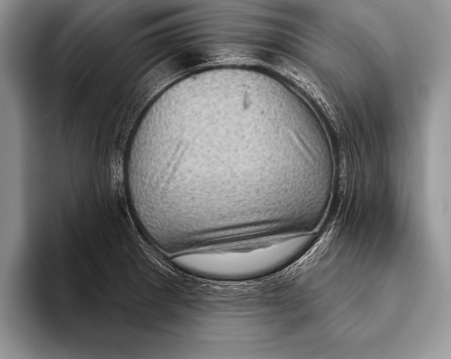 X0000093401281200711091334