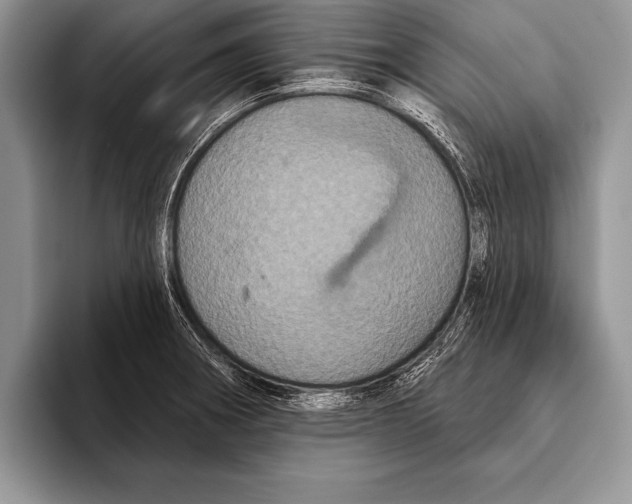 X0000093401282200711091334