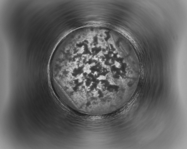 X0000093401283200711091334