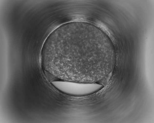 X0000093401284200711091334