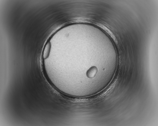 X0000093401285200711091334