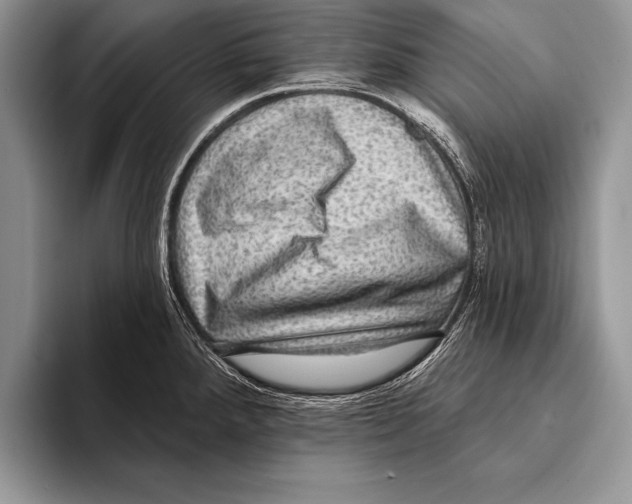 X0000093401288200711091334