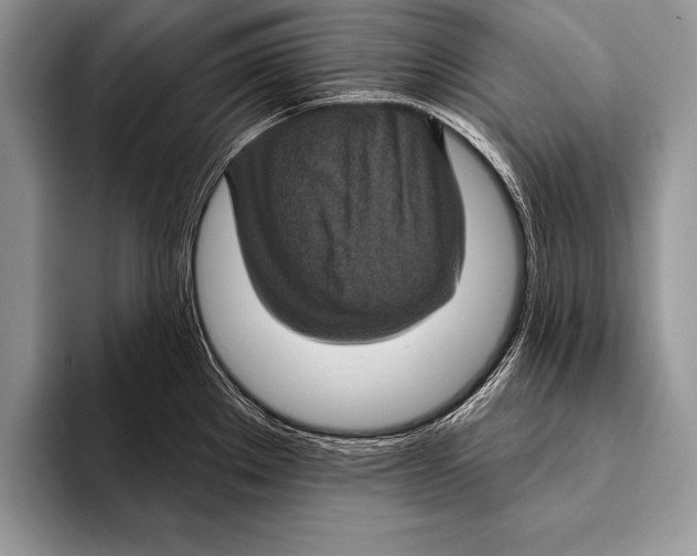 X0000093401289200711091334