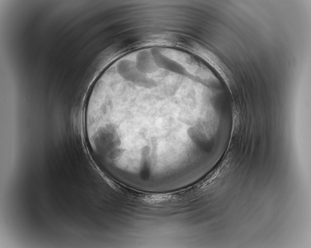 X0000093401290200711091334