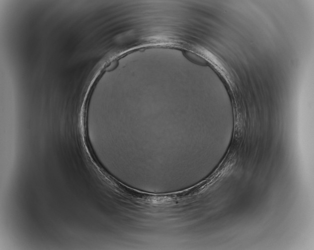 X0000093401291200711091334