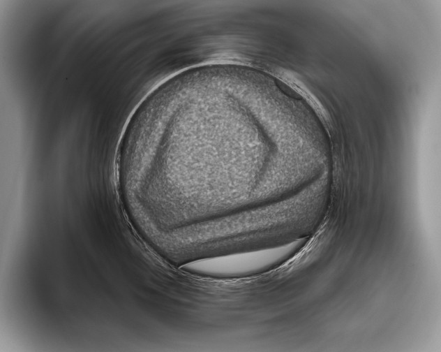 X0000093401292200711091334