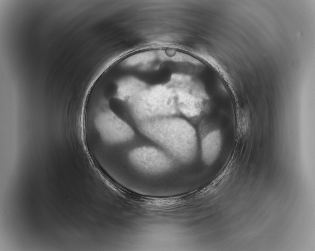 X0000093401294200711091334