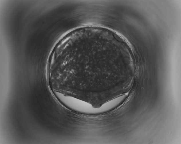 X0000093401295200711091334