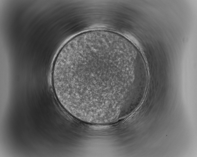 X0000093401296200711091334