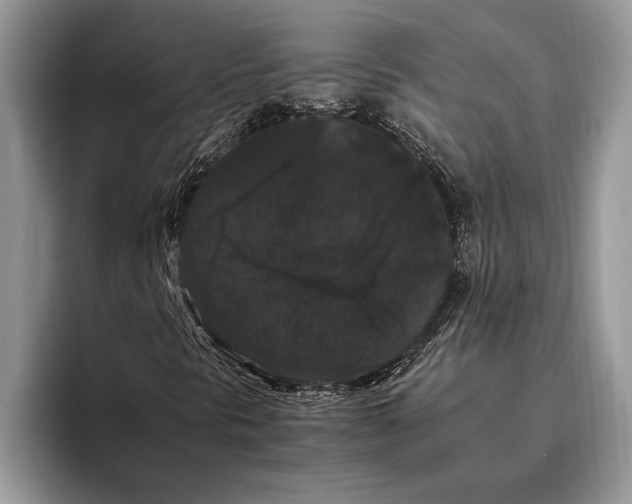 X0000093401297200711091333
