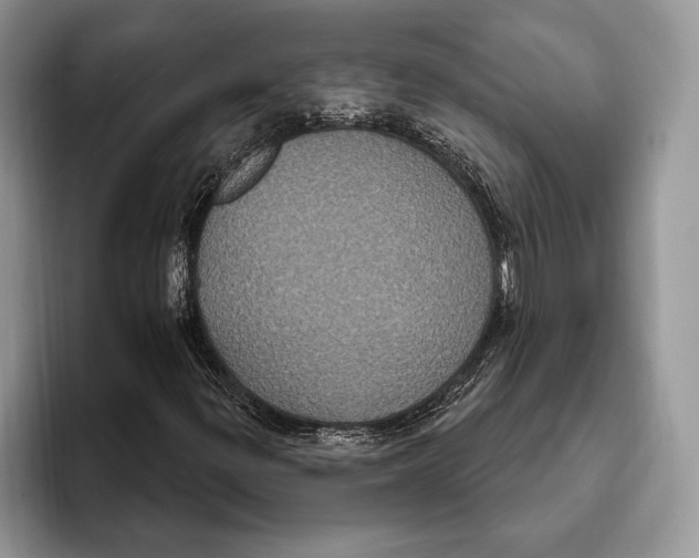 X0000093401299200711091333