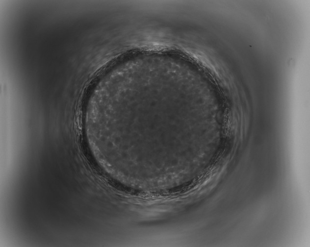 X0000093401301200711091333