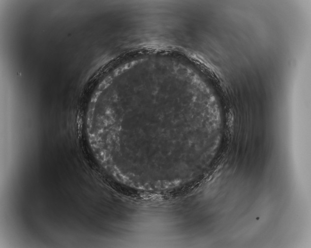 X0000093401302200711091333