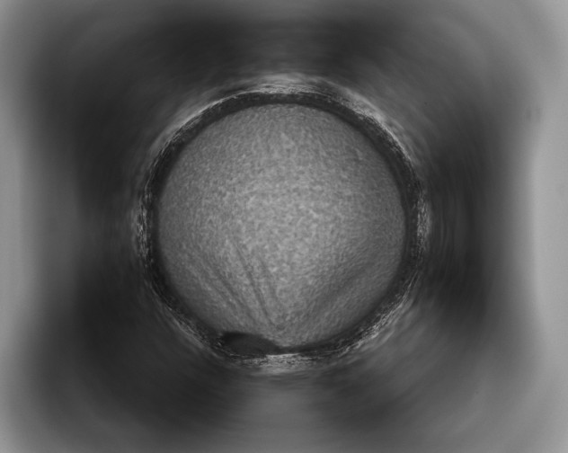 X0000093401304200711091333