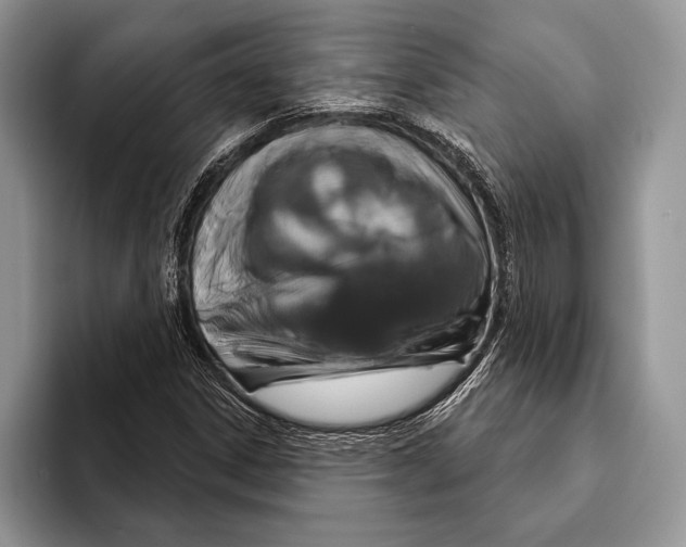 X0000093401306200711091333