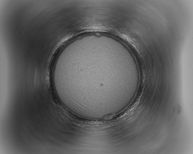 X0000093401307200711091333
