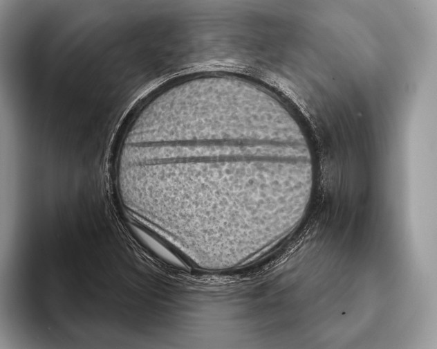 X0000093401308200711091333