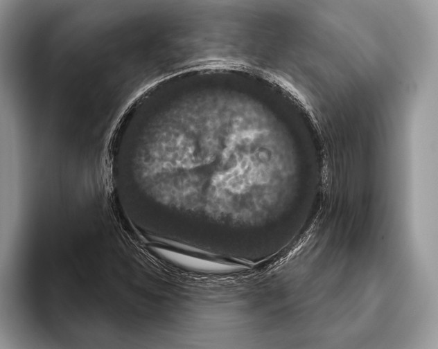 X0000093401310200711091333