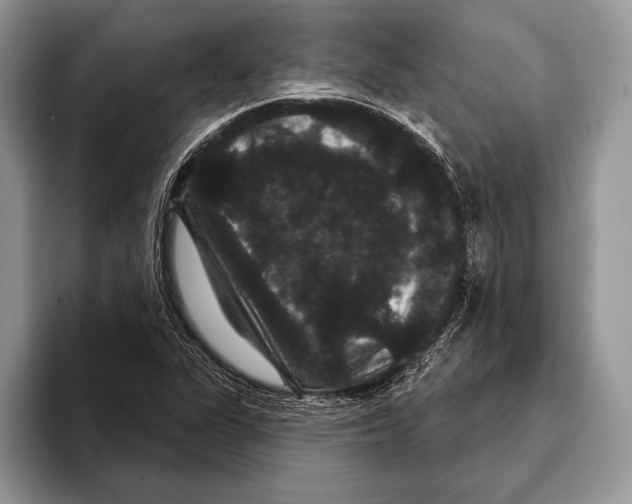 X0000093401311200711091334