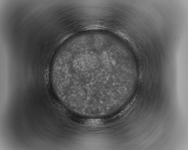 X0000093401313200711091334