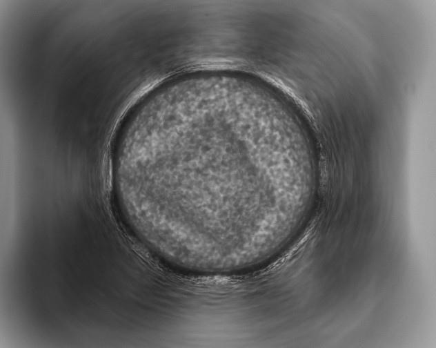 X0000093401317200711091334