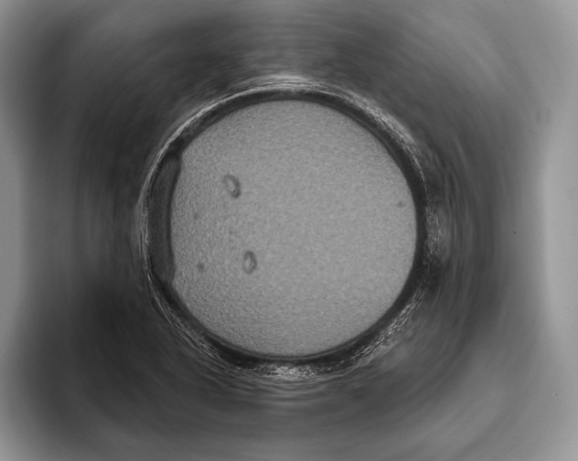 X0000093401318200711091334