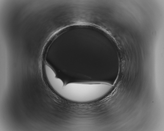 X0000093401319200711091334