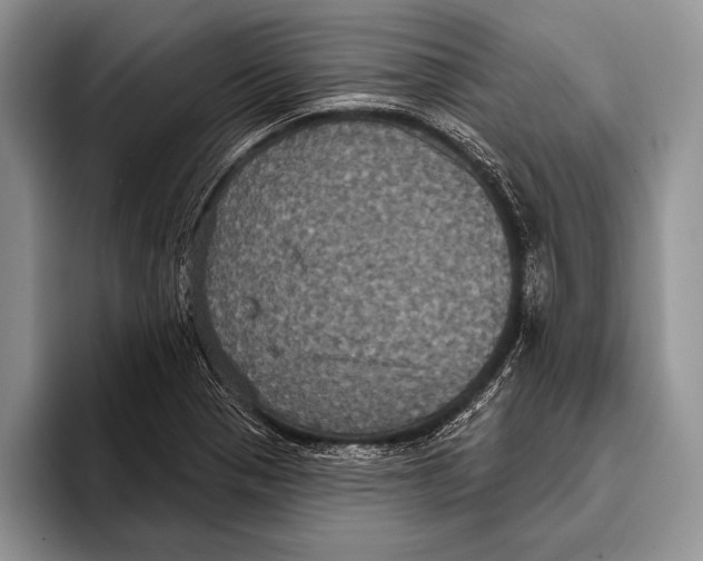 X0000093401321200711091334