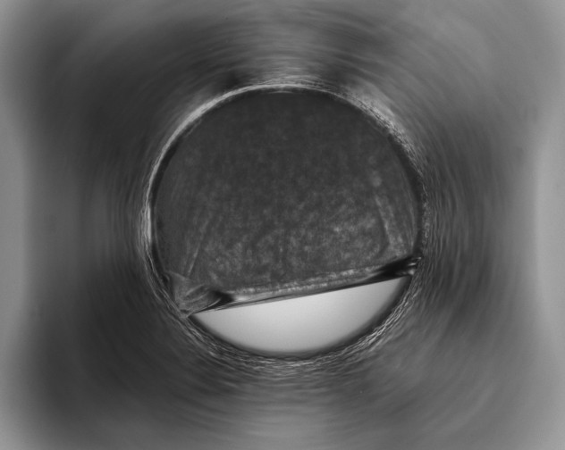 X0000093401324200711091334