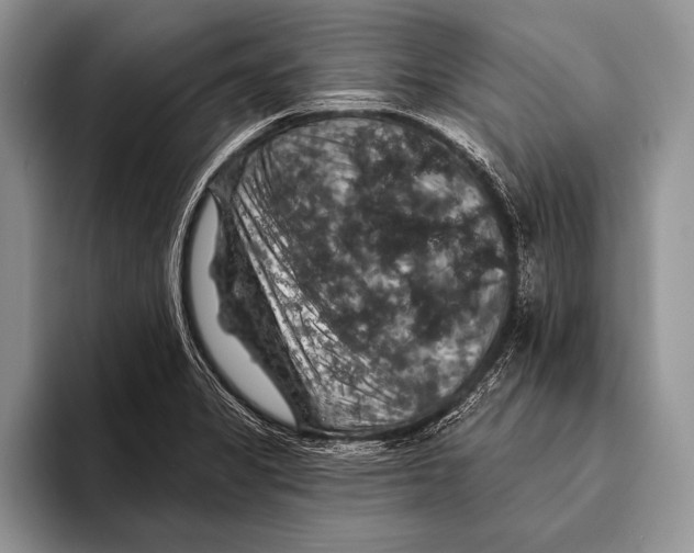 X0000093401325200711091334