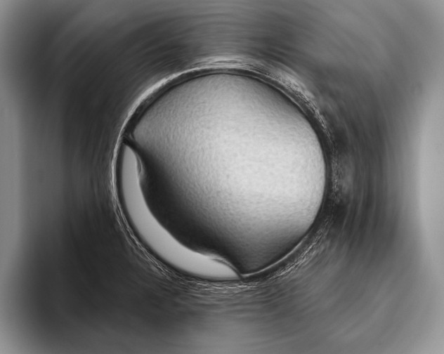 X0000093401328200711091334