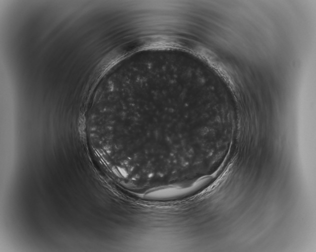 X0000093401329200711091334