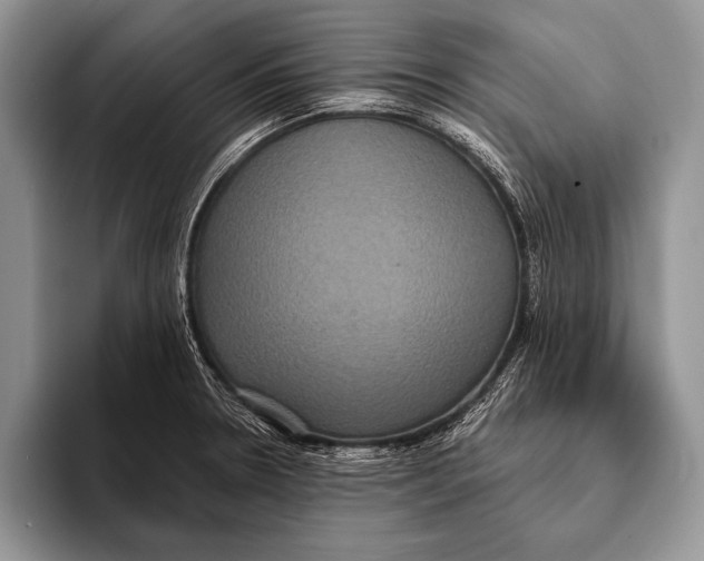 X0000093401330200711091334