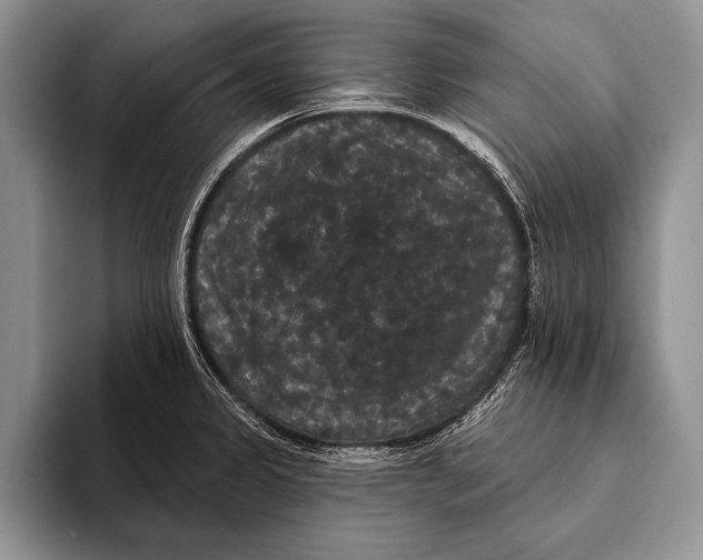 X0000093401333200711091334