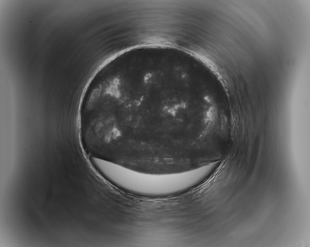 X0000093401335200711091334