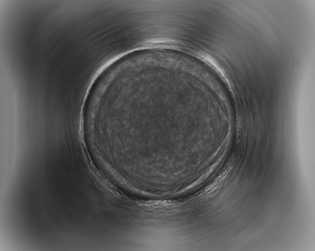 X0000093401336200711091334