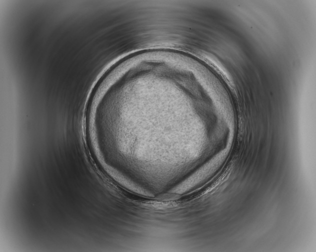 X0000093401340200711091334