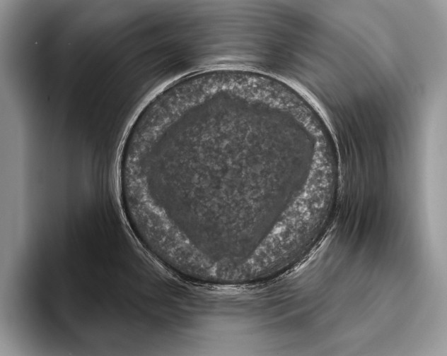 X0000093401341200711091334