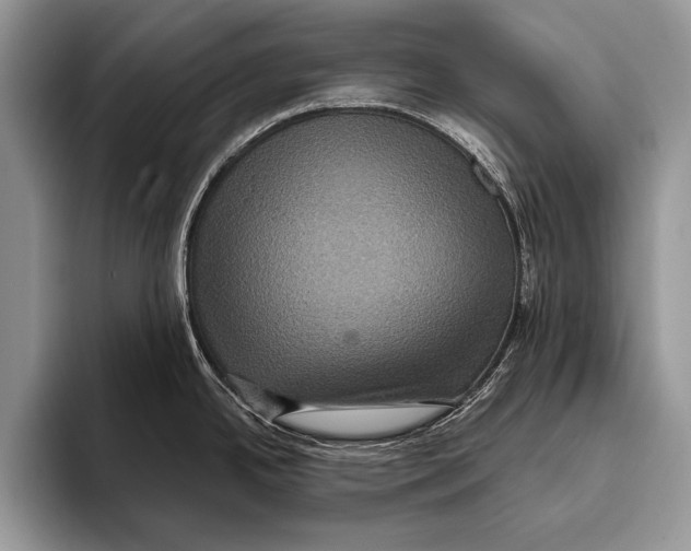 X0000093401342200711091334